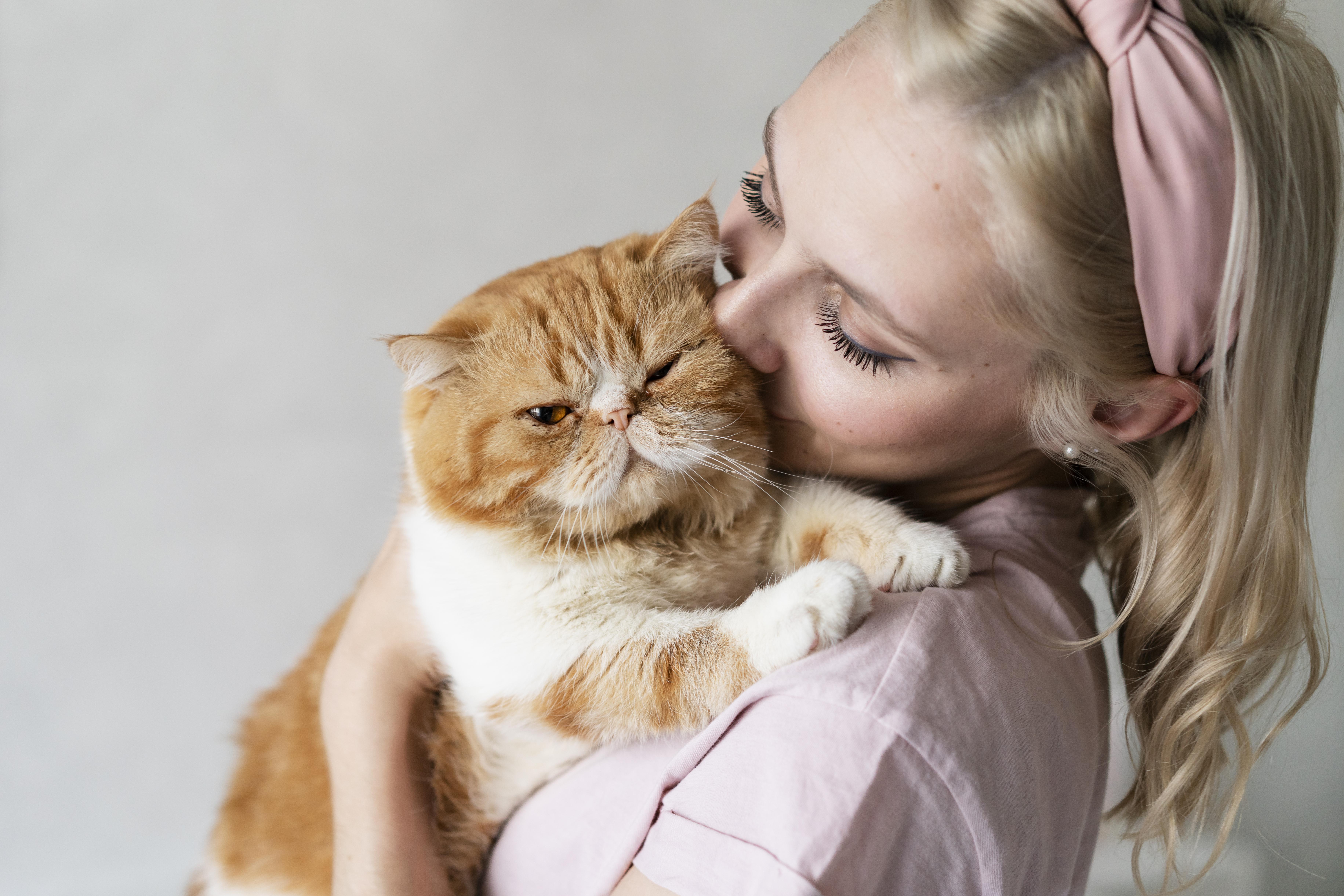 Как понять, что кот любит хозяина?