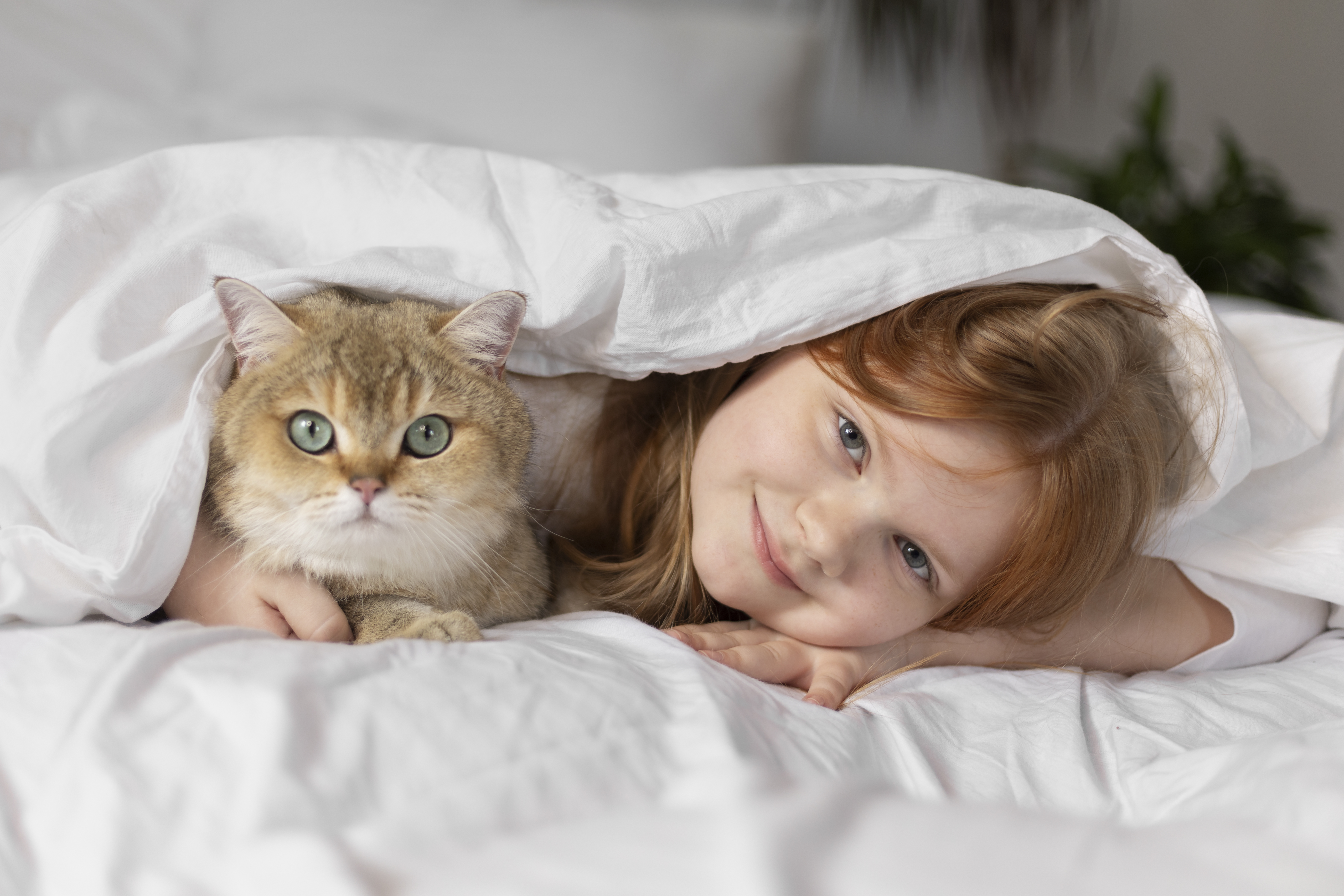Какая лучшая порода кошек для семьи с детьми?