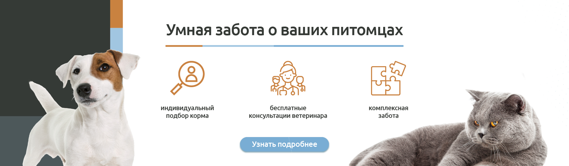 PetFabric: интернет-магазин товаров для животных в России