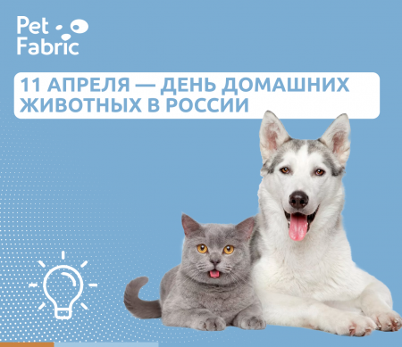 11 апреля — День домашних животных в России.
