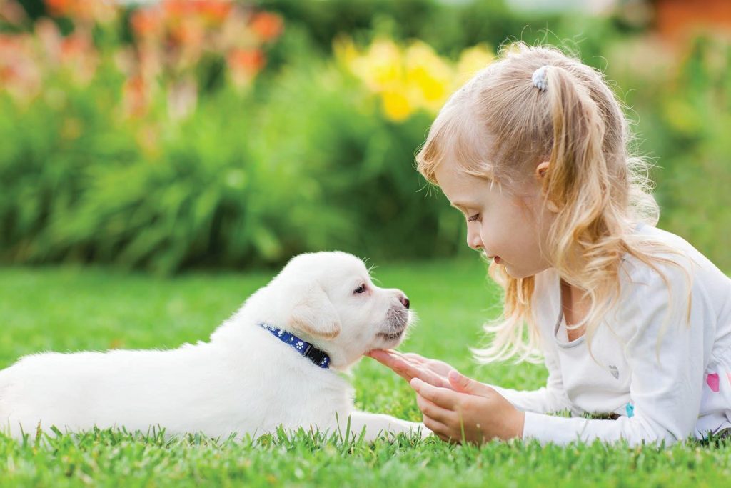 Какую породу собак лучше завести для ребёнка?