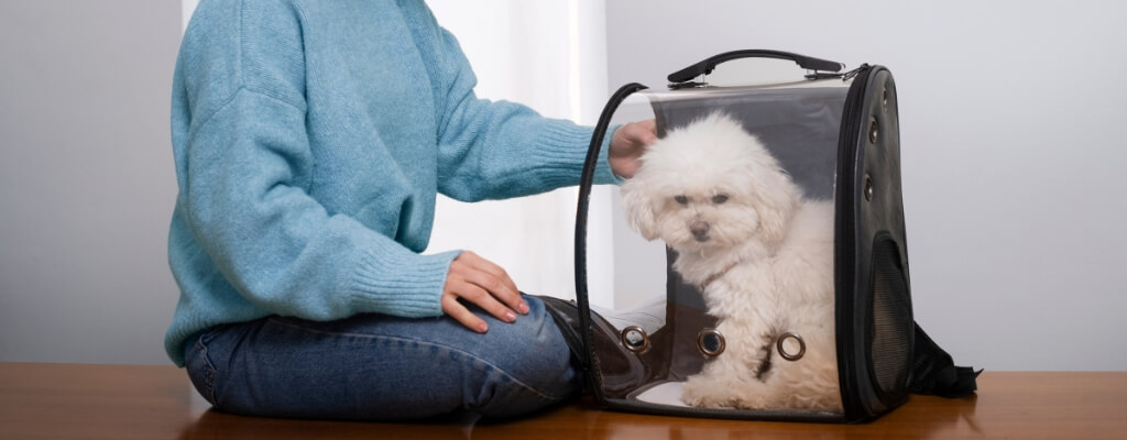 Что купить для щенка в первую очередь (19).jpg Что купить для щенка в первую очередь (19).jpg