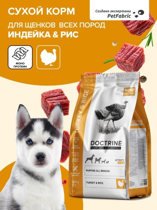 Чем кормить джек-рассел-терьера (111).jpg Чем кормить джек-рассел-терьера (111).jpg