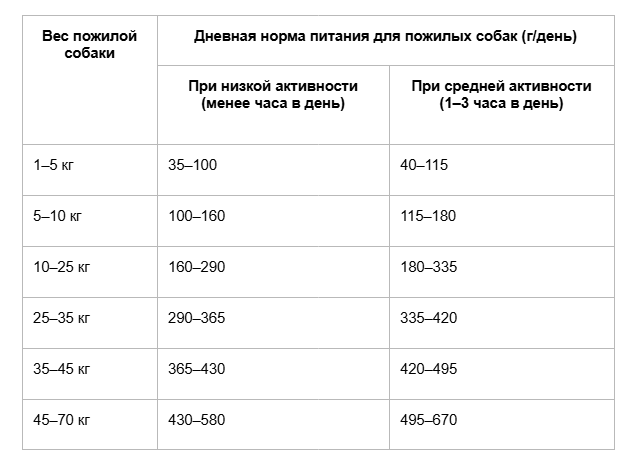 Сколько раз в день кормить собаку_11.png