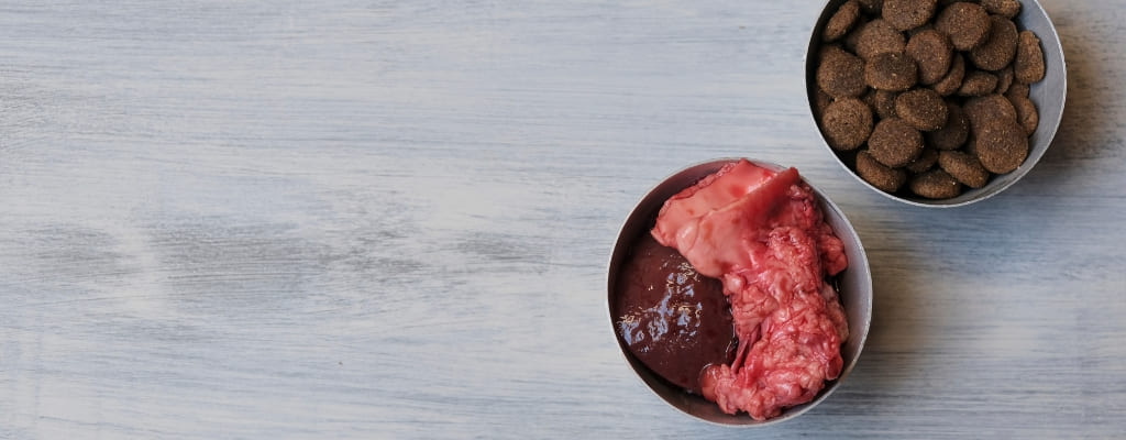 Что такое холистик корм для собак (3).jpg