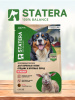 STATERA сухой корм для взрослых собак средних и крупных пород с ягненком