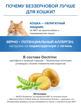 DOCTRINE сухой корм для котят с лососем и белой рыбой