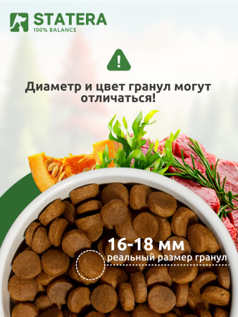 STATERA сухой корм для взрослых собак средних и крупных пород с ягненком