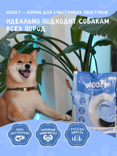 WOOLY сухой корм для собак всех пород «Мясное ассорти» WOOLY сухой корм для собак всех пород «Мясное ассорти»