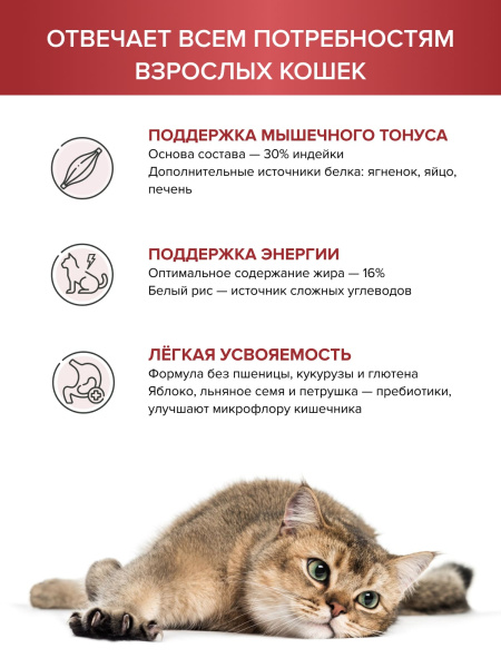 DOCTRINE сухой корм для взрослых кошек и котов с индейкой, ягненком и рисом