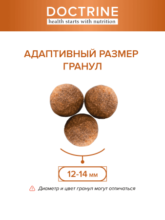 DOCTRINE сухой корм для взрослых собак всех пород с индейкой и рисом
