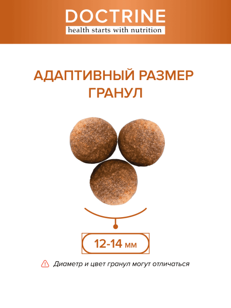 DOCTRINE сухой корм для взрослых собак всех пород с индейкой и рисом