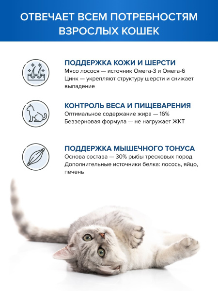 DOCTRINE сухой корм для взрослых кошек с лососем и белой рыбой DOCTRINE сухой корм для взрослых кошек с лососем и белой рыбой