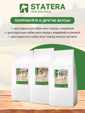 STATERA Полнорационный сухой корм для взрослых собак всех пород с индейкой и гречкой