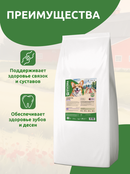 STATERA сухой корм для взрослых собак всех пород с курицей