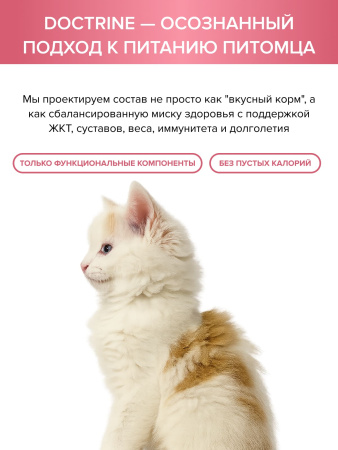 DOCTRINE сухой корм для котят всех пород с индейкой и рисом