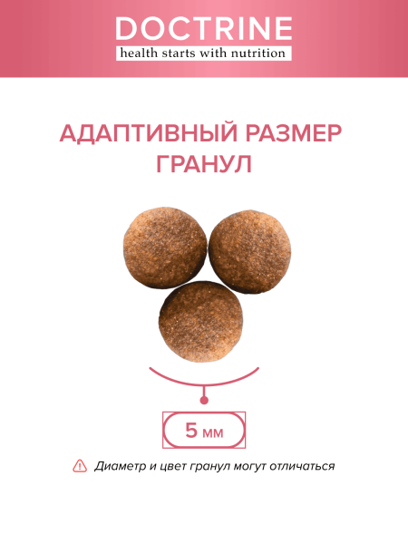 DOCTRINE сухой корм для котят всех пород с индейкой и рисом