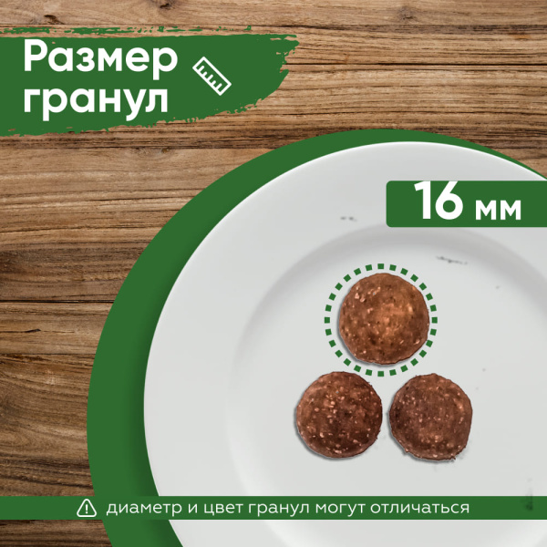 STATERA Полнорационный сухой корм для взрослых собак всех пород с индейкой и гречкой STATERA Полнорационный сухой корм для взрослых собак всех пород с индейкой и гречкой