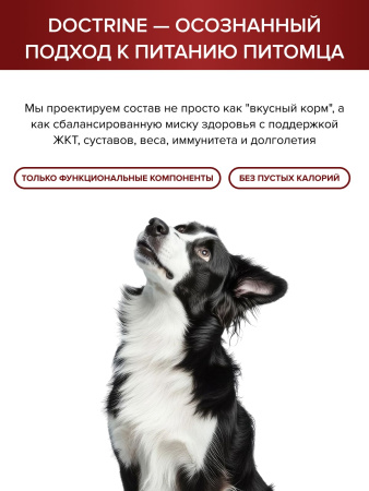 DOCTRINE сухой корм для взрослых собак средних и крупных пород с индейкой, говядиной, уткой,свежим мясом