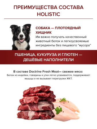 DOCTRINE сухой корм для взрослых собак средних и крупных пород с индейкой, говядиной, уткой,свежим мясом