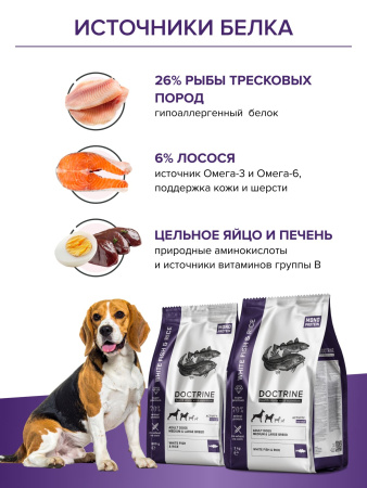DOCTRINE сухой корм для взрослых собак средних и крупных пород с белой рыбой и рисом