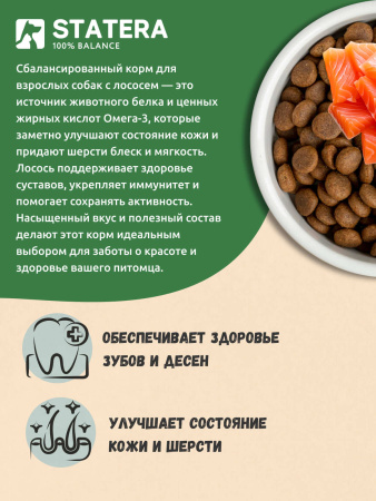STATERA сухой корм для взрослых собак всех пород с лососем