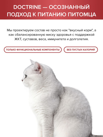 DOCTRINE сухой корм для взрослых кошек и котов с индейкой, ягненком и рисом
