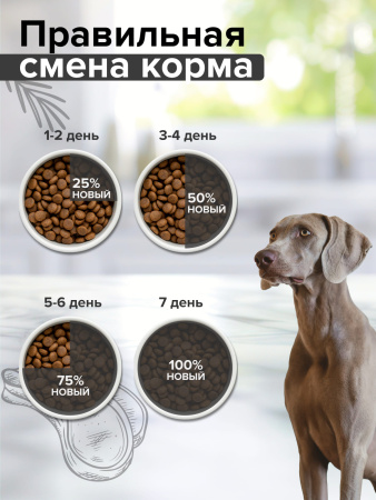 Сухой полнорационный корм для взрослых собак средних и крупных пород с индейкой DOCTRINE