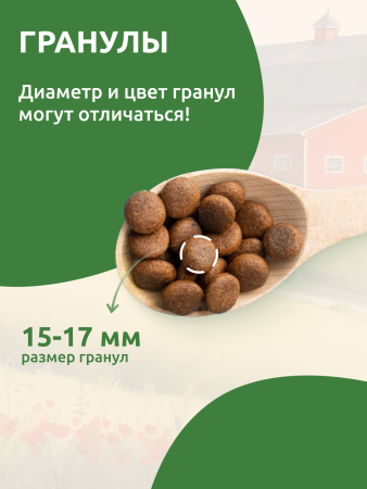 STATERA сухой корм для взрослых собак всех пород Мясное ассорти