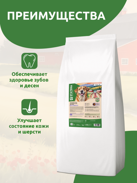 STATERA Полнорационный сухой корм для взрослых собак всех пород с индейкой и гречкой