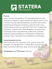 STATERA сухой корм для взрослых собак средних и крупных пород с ягненком