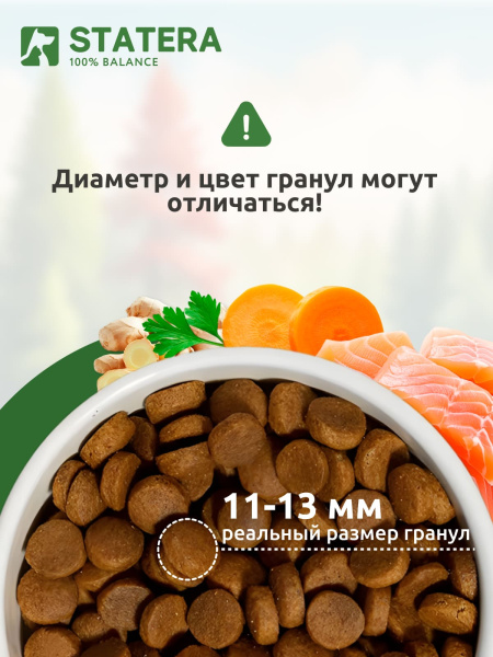 STATERA сухой корм для взрослых собак всех пород с лососем
