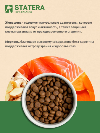 STATERA сухой корм для взрослых собак всех пород с лососем