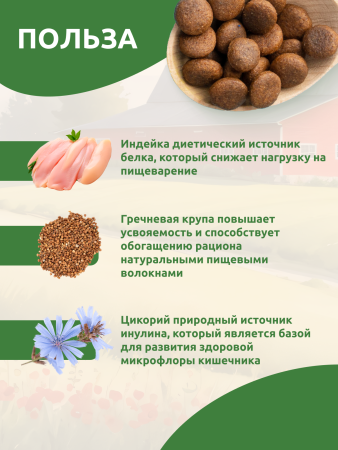 STATERA Полнорационный сухой корм для взрослых собак всех пород с индейкой и гречкой