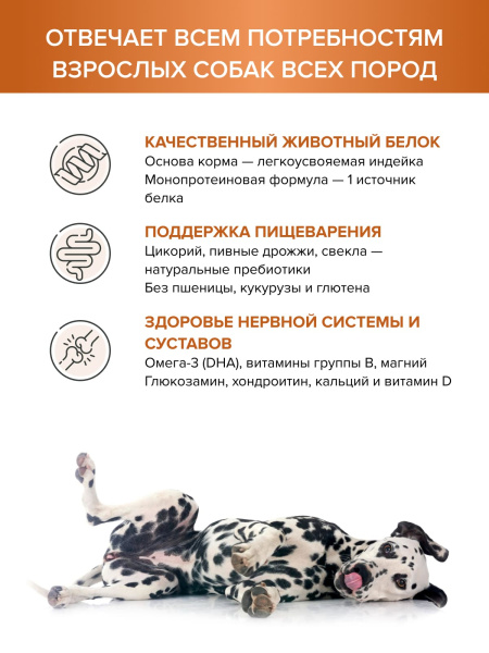 DOCTRINE сухой корм для взрослых собак всех пород с индейкой и рисом