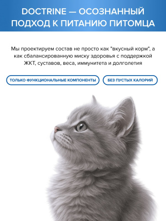 DOCTRINE сухой корм для котят с лососем и белой рыбой