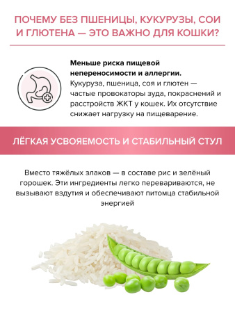 DOCTRINE сухой корм для котят всех пород с индейкой и рисом