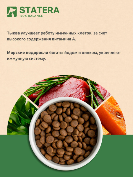 STATERA сухой корм для взрослых собак средних и крупных пород с ягненком STATERA сухой корм для взрослых собак средних и крупных пород с ягненком