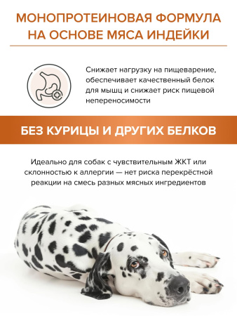 DOCTRINE сухой корм для взрослых собак всех пород с индейкой и рисом