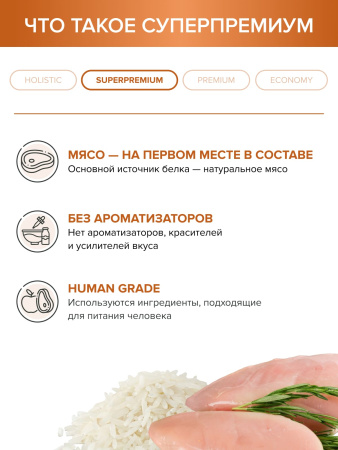 DOCTRINE сухой корм для взрослых собак всех пород с индейкой и рисом