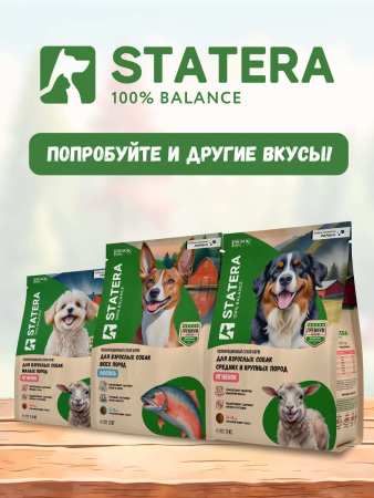 STATERA сухой корм для взрослых собак всех пород с лососем