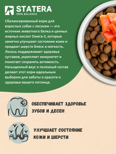 STATERA сухой корм для взрослых собак всех пород с лососем