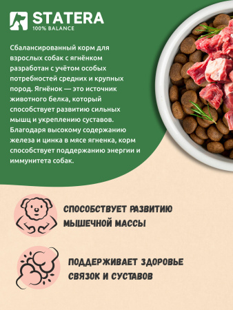STATERA сухой корм для взрослых собак средних и крупных пород с ягненком