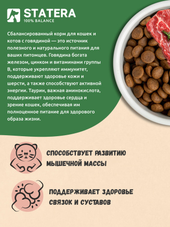 STATERA сухой корм для взрослых кошек и котов с говядиной