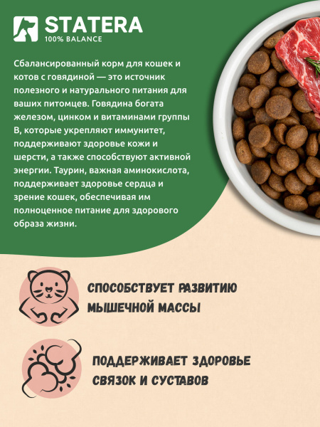 STATERA сухой корм для взрослых кошек и котов с говядиной