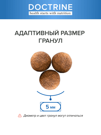 DOCTRINE сухой корм для котят с лососем и белой рыбой