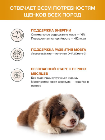 DOCTRINE сухой корм для щенков всех пород с индейкой и рисом