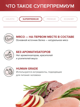 DOCTRINE сухой корм для взрослых кошек и котов с индейкой, ягненком и рисом