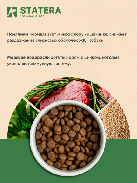 STATERA сухой корм для взрослых собак малых пород с ягненком STATERA сухой корм для взрослых собак малых пород с ягненком