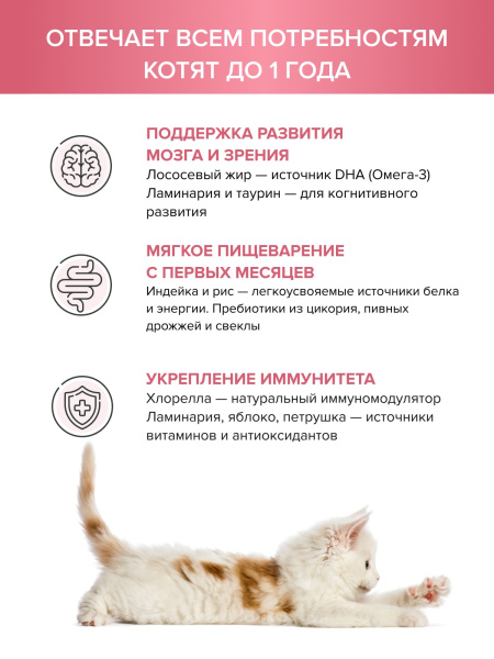 DOCTRINE сухой корм для котят всех пород с индейкой и рисом